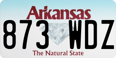AR license plate 873WDZ