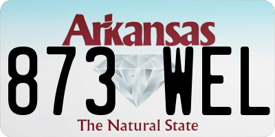 AR license plate 873WEL