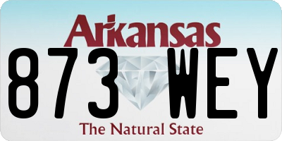 AR license plate 873WEY
