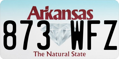 AR license plate 873WFZ