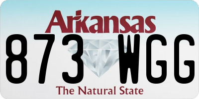 AR license plate 873WGG