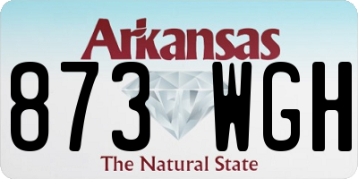 AR license plate 873WGH