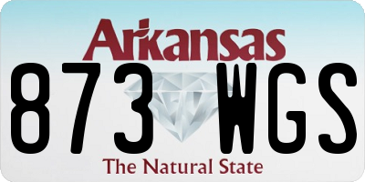 AR license plate 873WGS
