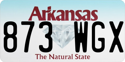 AR license plate 873WGX