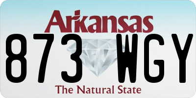 AR license plate 873WGY