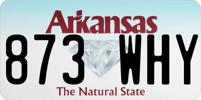 AR license plate 873WHY