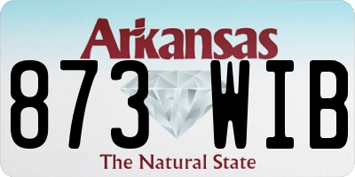 AR license plate 873WIB
