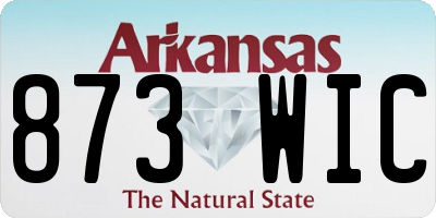 AR license plate 873WIC