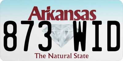 AR license plate 873WID