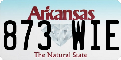 AR license plate 873WIE