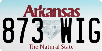 AR license plate 873WIG