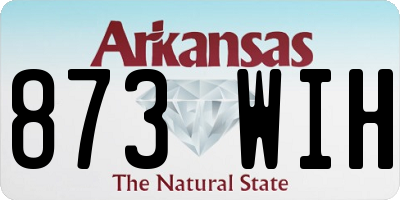 AR license plate 873WIH