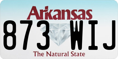 AR license plate 873WIJ