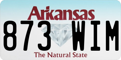 AR license plate 873WIM