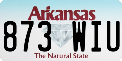 AR license plate 873WIU