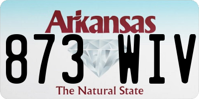 AR license plate 873WIV