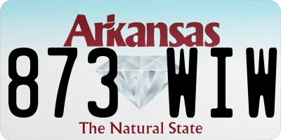 AR license plate 873WIW