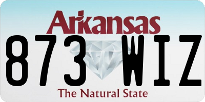 AR license plate 873WIZ