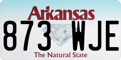 AR license plate 873WJE