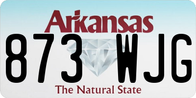 AR license plate 873WJG