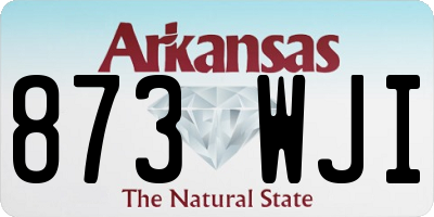 AR license plate 873WJI