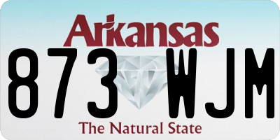 AR license plate 873WJM