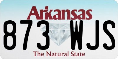 AR license plate 873WJS