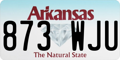 AR license plate 873WJU