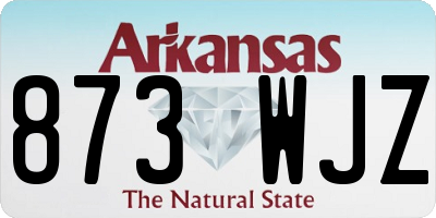 AR license plate 873WJZ
