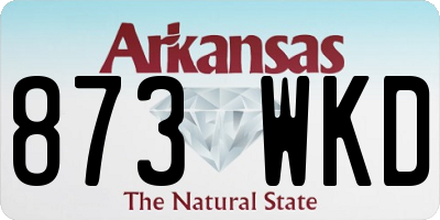 AR license plate 873WKD