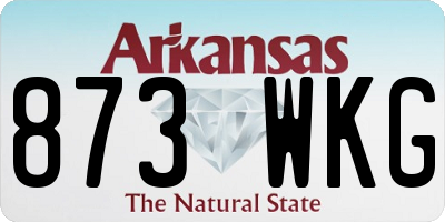 AR license plate 873WKG