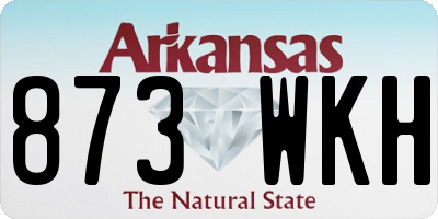 AR license plate 873WKH