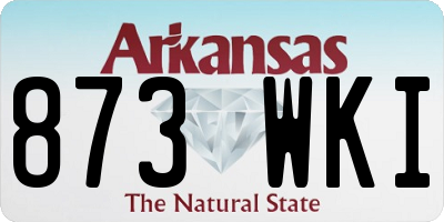 AR license plate 873WKI