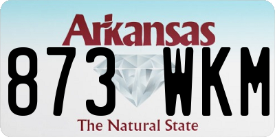 AR license plate 873WKM