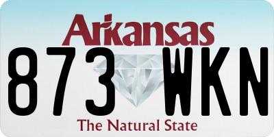 AR license plate 873WKN