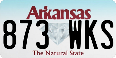 AR license plate 873WKS