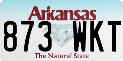 AR license plate 873WKT