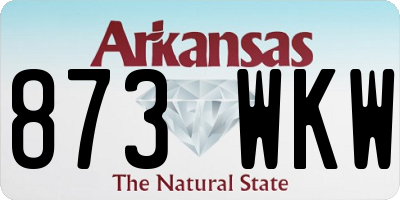 AR license plate 873WKW