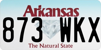 AR license plate 873WKX