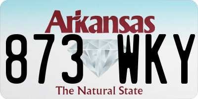 AR license plate 873WKY