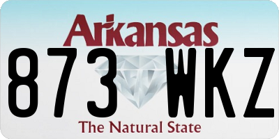 AR license plate 873WKZ