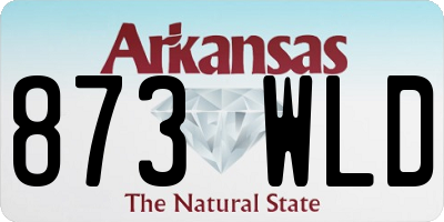 AR license plate 873WLD