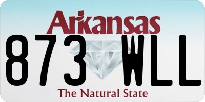 AR license plate 873WLL