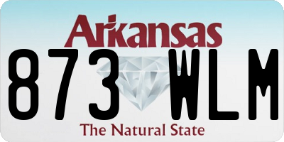 AR license plate 873WLM