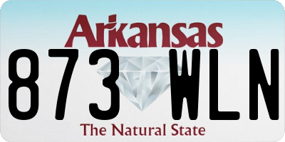 AR license plate 873WLN