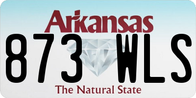 AR license plate 873WLS