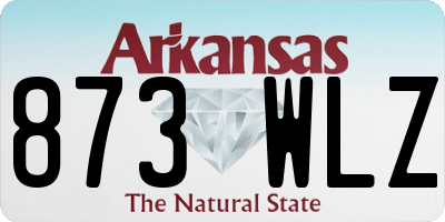 AR license plate 873WLZ