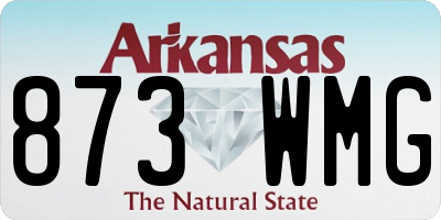 AR license plate 873WMG