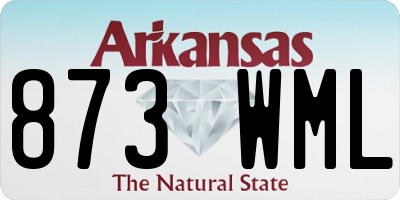AR license plate 873WML