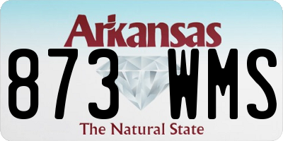 AR license plate 873WMS